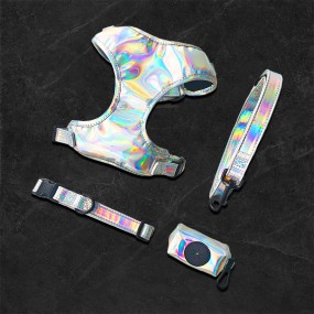 Reflective Dog Harness and Leash Set Manufacturer - Custom Logo Night Use