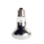 Reptile Heat Lamp Manufacturer - DRH Wholesale 40/60 Watt UVA Daylight Lamps