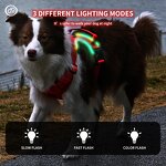 LED Dog Harness Manufacturer - Light Breathable Heavy Duty Custom Reflective QR Code