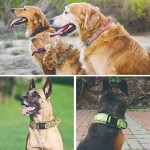 Cat Recovery Collar Manufacturer - Extra-Large Free Sample Training Tactical