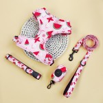 Dog Harness and Water Bottle Set Manufacturer - In Stock Free Sample for Outdoor