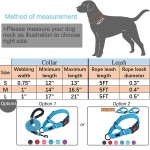 Martingale Dog Collar Set Manufacturer - OEM/ODM Reflective Polyester Nylon 2 Inch