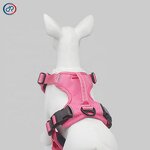 Designer Dog Harness Manufacturer - Hot Sale Adjustable Custom Luxury Wholesale