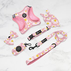 Step-in Dog Harness Manufacturer - Air Mesh Plaids Tweed Adjustable Training Vest