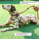 Strong Dog Leash Manufacturer - Wholesale Reflective Soft Handle Nylon Rope