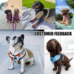 Custom Dog Harness Set Manufacturer - Hot Sale Low MOQ Polyester Personalized