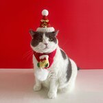 Knitted Christmas Pet Set Manufacturer - 2025 New Design Scarf Hat INS Style