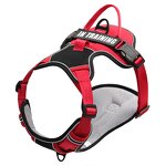 Reflective Dog Harness Set Manufacturer - Outer Breaking Free Leash for All Sizes