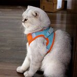 Faux Leather Dog Harness Manufacturer - Wholesale Private Label Designer Eco Friendly