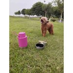 Portable Dog Water Bottle Manufacturer - 32OZ Stainless Steel Outdoor Travel