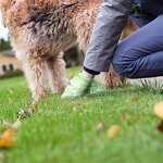 Biodegradable Dog Poop Bags Manufacturer - Wholesale Printed Colorful Eco-friendly