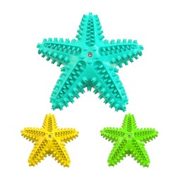 TPR Rubber Dog Chew Toy Manufacturer - Wholesale Hot Selling Starfish Shaped