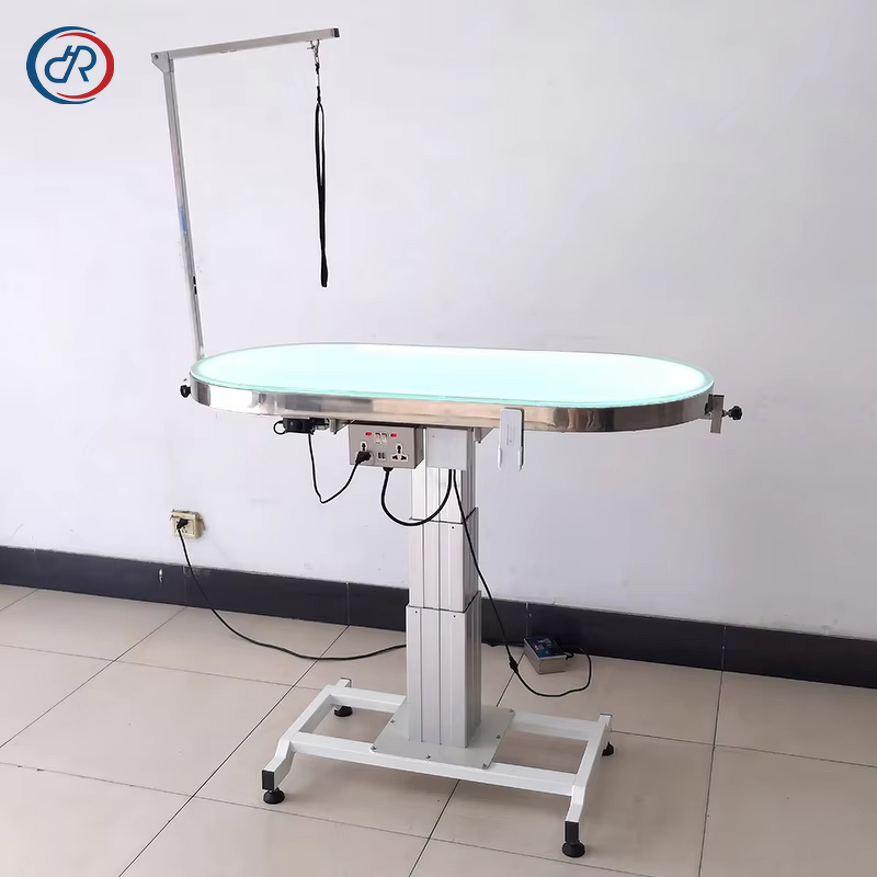 Foldable Pet Grooming Table Manufacturer - DRH Professional Portable Stainless Steel