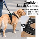 No Pull Dog Harness Set Manufacturer - Hot Sale Reflective Tough Adjustable Training