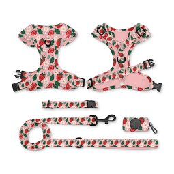 Designer Dog Harness and Leash Set Manufacturer - Breathable Adjustable Comfort