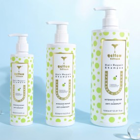 Afro Hair Care Set Factory - Private Label Organic Argan for Black Women