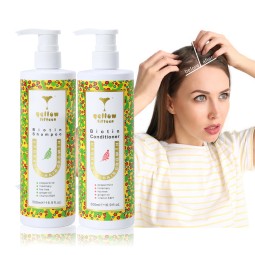 Tea Tree Shampoo Manufacturer - OEM/ODM Anti-Dandruff Moisturizing Cream