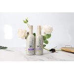 Purple Shampoo Set Supplier - Wholesale OEM Repairing Anti Brass Silver