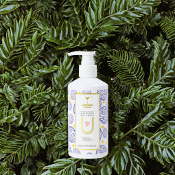 Vegan Shower Gel Manufacturer - Wholesale Coconut Sulfate-Free Brightening