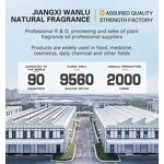 Pine Tree Oil Manufacturer - 85% Pure Pine Oil Bulk Supply