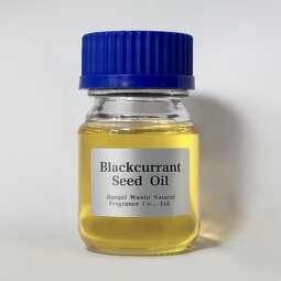 Blackcurrant Seed Oil Manufacturer - Wanlu Cold Pressed Refined Essential Oil