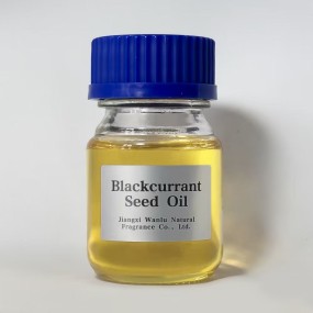 Blackcurrant Seed Oil Manufacturer - Wanlu Cold Pressed Refined Essential Oil