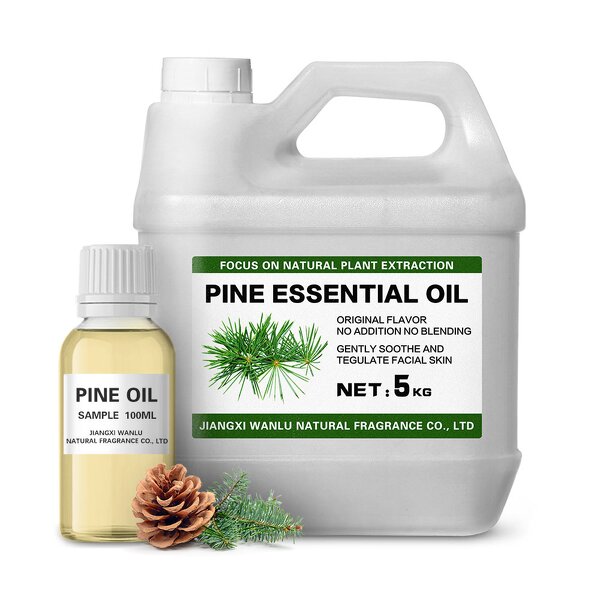 Pine Needle Essential Oil Factory - Bulk Wholesale Pure Natural Extract