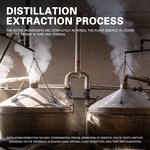 Linalool Factory - Bulk Wholesale 100% Pure Food Grade Competitive Price