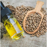 Hemp Seed Oil Supplier - Premium Quality for Skin Care Fresh Sweet Odor