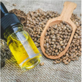 Hemp Seed Oil Supplier - Premium Quality for Skin Care Fresh Sweet Odor