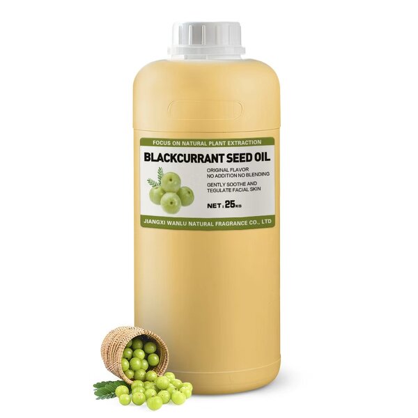 Blackcurrant Seed Oil Factory - Wholesale Premium Cold-pressed 100% Natural