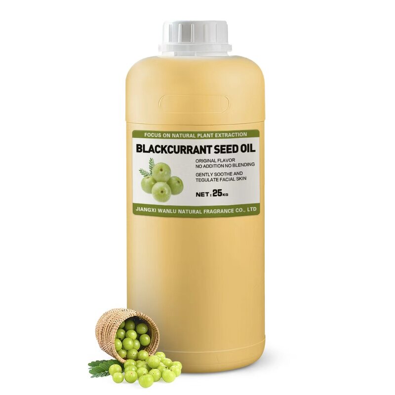 Blackcurrant Seed Oil Factory - Wholesale Premium Cold-pressed 100% Natural