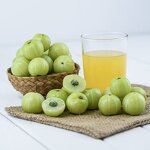 Blackcurrant Seed Oil Factory - Wholesale Premium Cold-pressed 100% Natural