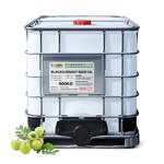 Blackcurrant Seed Oil Factory - Wholesale Premium Cold-pressed 100% Natural