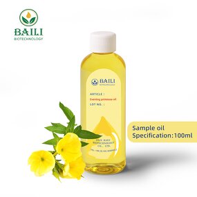 Evening Primrose Carrier Oil Manufacturer - Factory Supply Pure Organic Cold Pressed