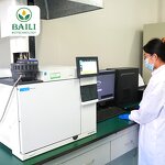 Evening Primrose Oil Manufacturer - High Quality Essential Oil for Aromatherapy