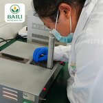 Evening Primrose Oil Manufacturer - Bulk Organic 100% Pure Natural Cold Pressed