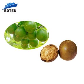 Sugar Substitute Manufacturer - Organic Siraitia Grosvenorii Monkfruit Sweetener