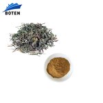 Dandelion Extract Powder Factory - Wholesale Bulk Taraxacum Mongolicum 10:1