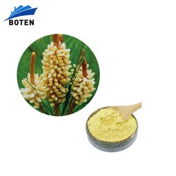 Pine Pollen Powder Supplier - Factory Price Cell Wall Broken Powder