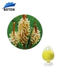 Pine Pollen Powder Manufacturer - Bulk 99% Cell Wall Broken Powder
