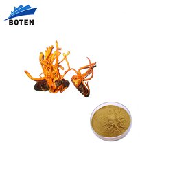Cordyceps Militaris Extract Factory - Top Quality 30% Polysaccharide 0.1% Cordycepin