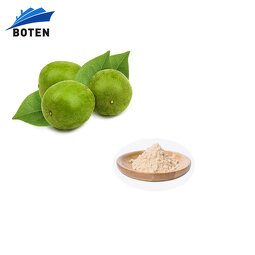 Monk Fruit Sweetener Supplier - Wholesale Food Grade Organic Without Erythritol