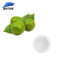 Monk Fruit Sweetener Manufacturer - Natural Sugar Substitute Mogroside V 50% Organic