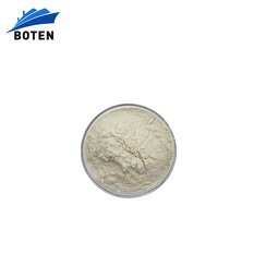 Pea Protein Powder Manufacturer - Bulk Price 25kg Organic Powder