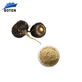 Maca Root Powder Manufacturer - Bulk Price Custom Private Label 100% Natural