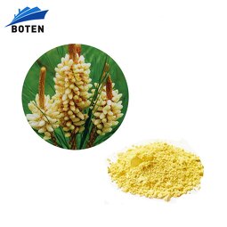 Pine Pollen Powder Manufacturer - Wholesale Bulk 99% Cell Wall Broken