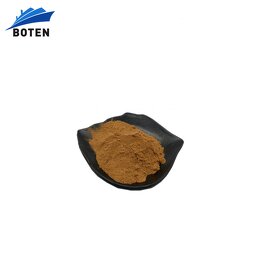 Phyllanthus Emblica Extract Supplier - High Quality Pure Natural Amla Fruit