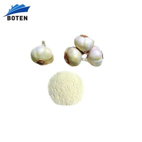 Garlic Extract Powder Manufacturer - 100% Pure Allicin 1% 2% 3% 5%