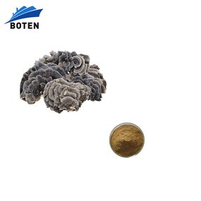 Turkey Tail Extract Supplier - Natural PSP 50% Powder Mushroom Extract